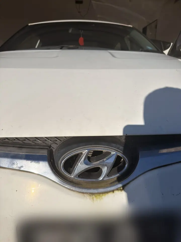 Hyundai Veloster before: grime, cobwebs and green build-up around the grille